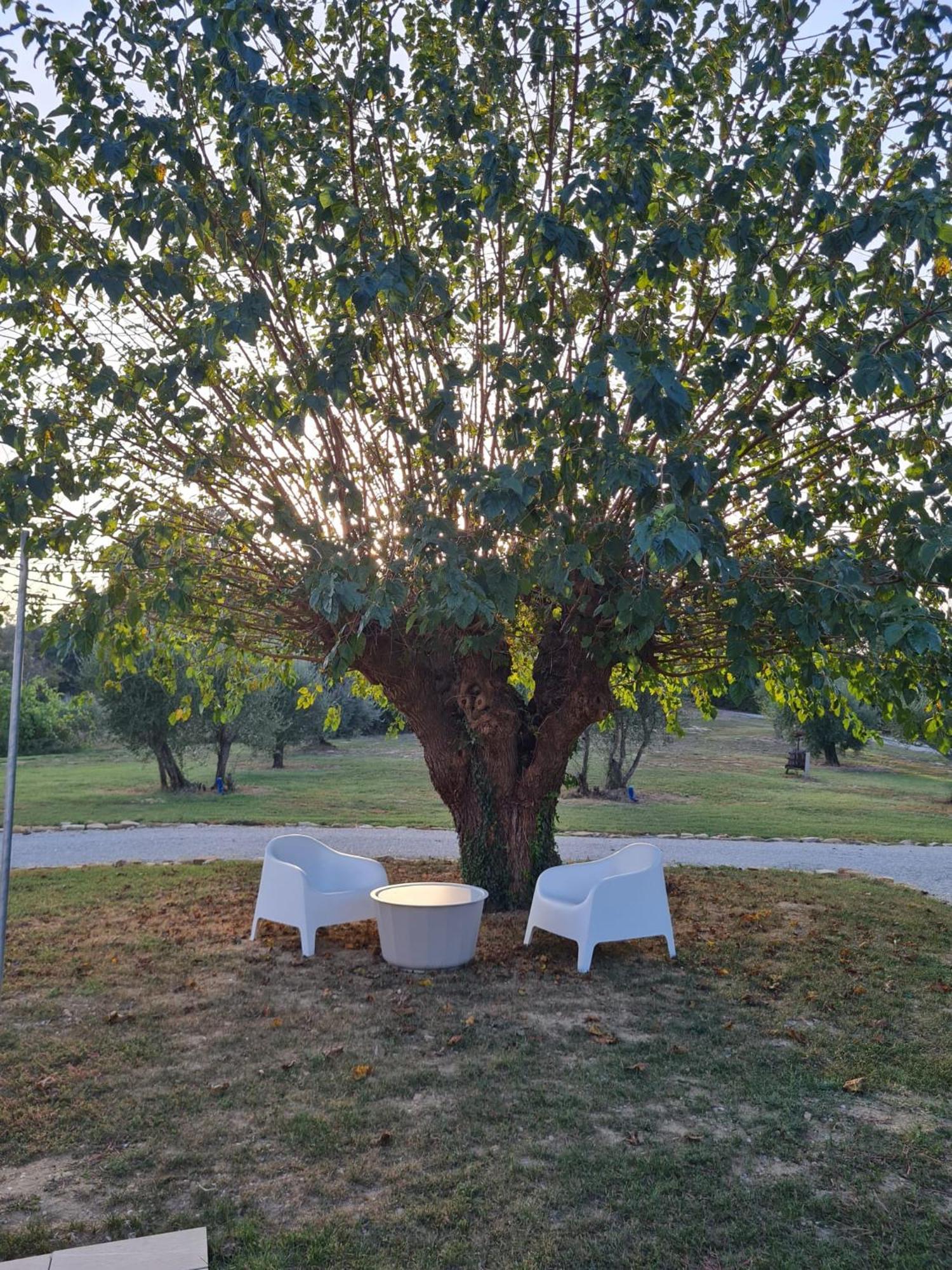 Orto Della Lepre Villa Montemaggiore al Metauro Exterior foto